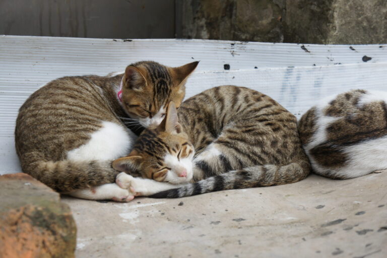 猴硐(イメージ)