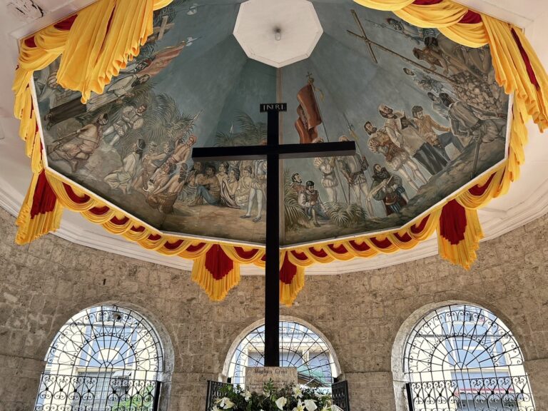 マゼランクロス イメージ