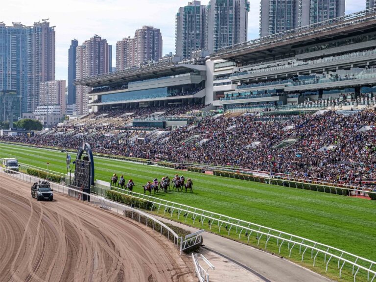 沙田競馬場